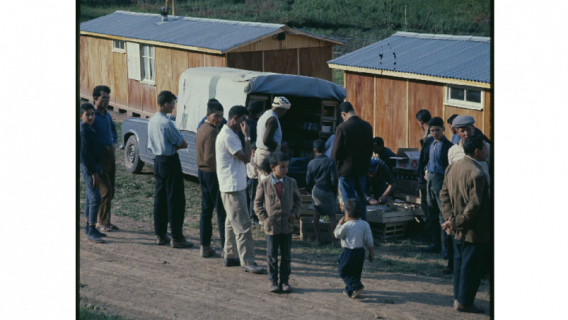 Camp de Harkis en Lozère